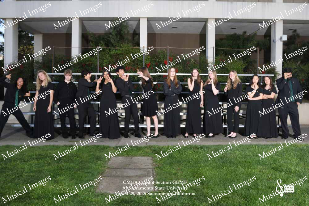 Musical Images